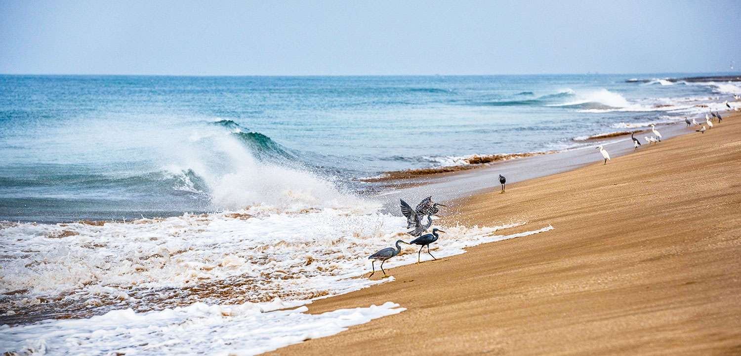 madhavpur beach