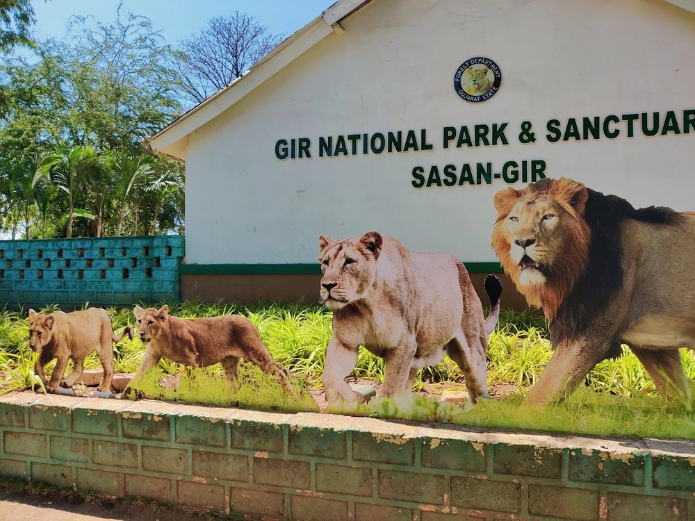 Gir National Park